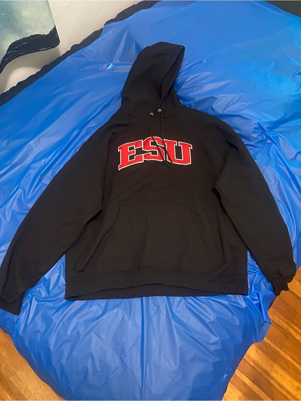 Champion Black Hoodie with Red ESU Lettering